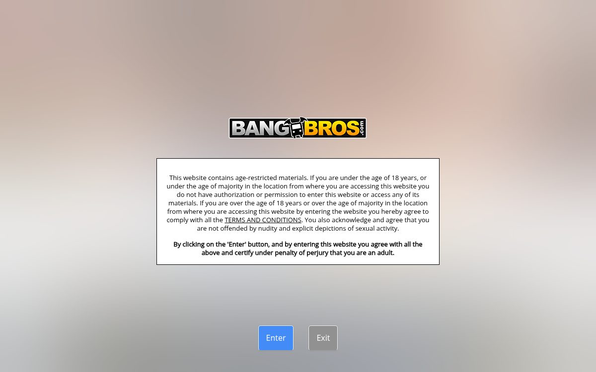 Bangbrosnetwork website