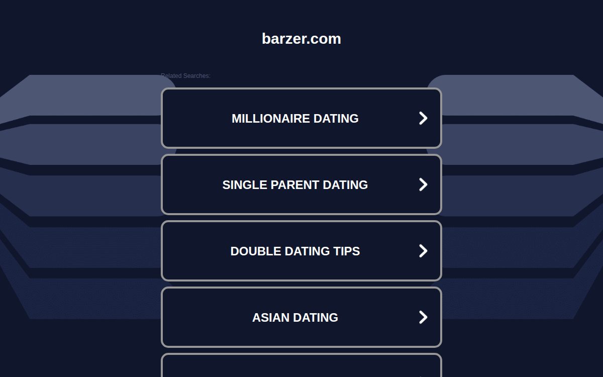 Barzer website