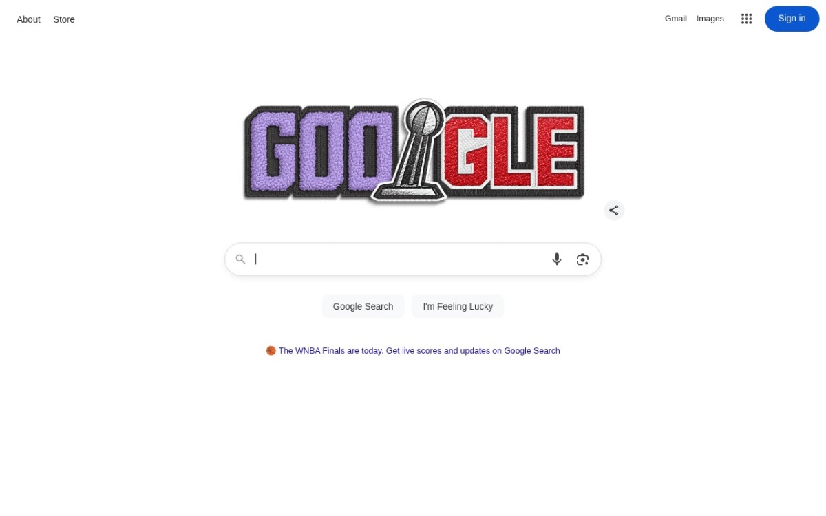 Google.com.br website