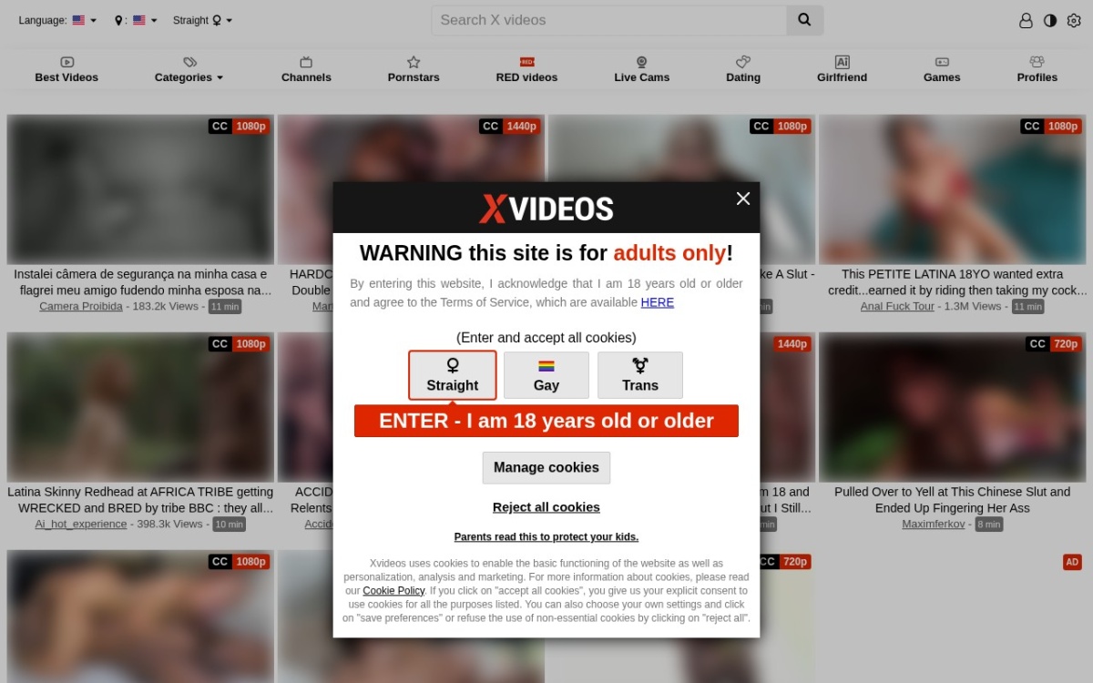 XVideos website